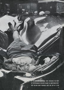 Evelyn McHale
